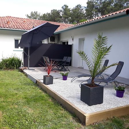 Chambre D'Hotes Du Pin Pey Exterior foto