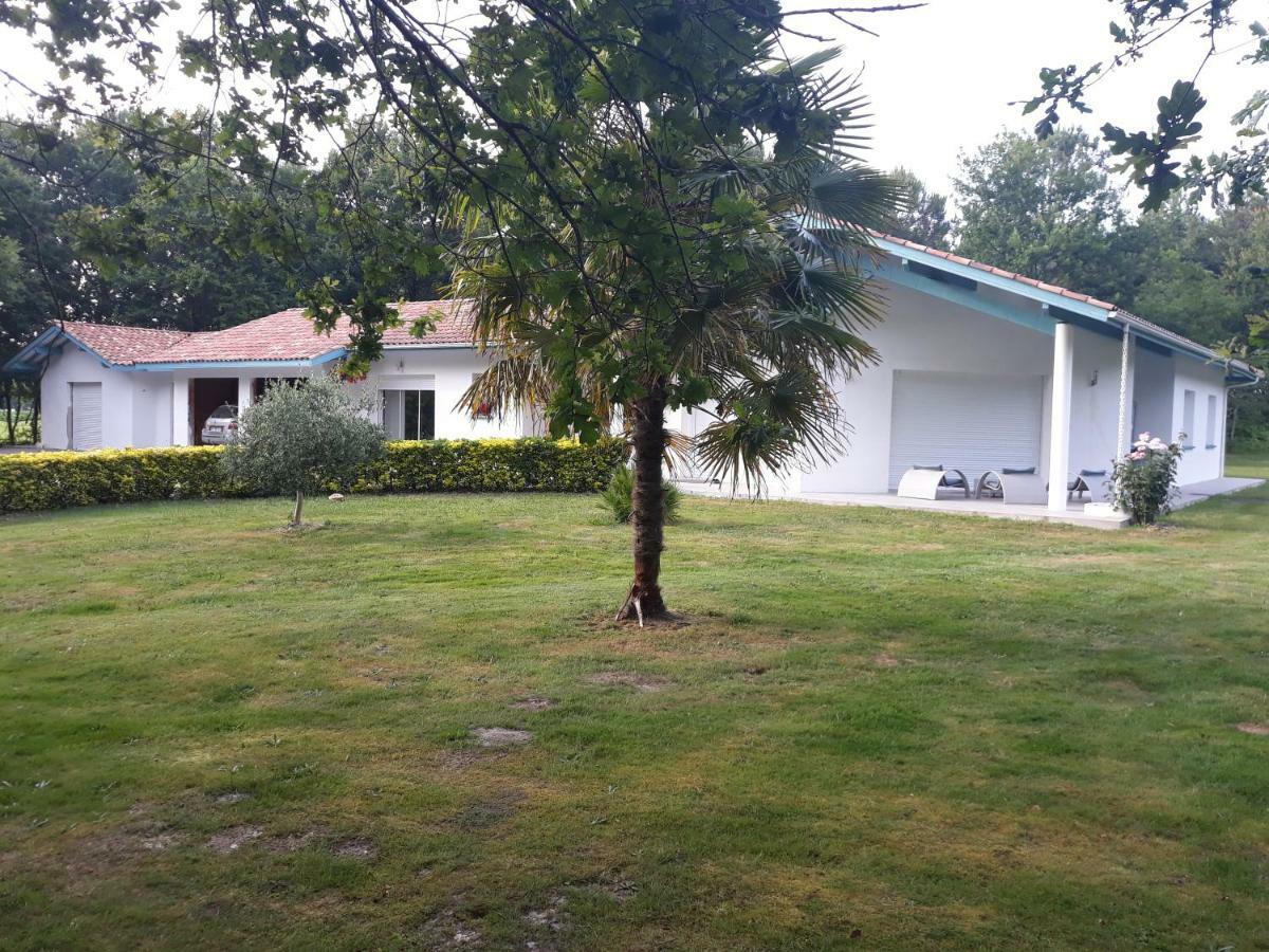 Chambre D'Hotes Du Pin Pey Exterior foto